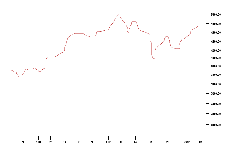 bitcoin price growth representation 