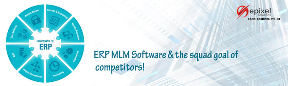 Epixel ERP MLM Software and the squad goal of competitors