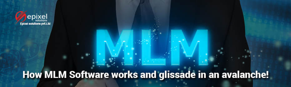 How MLM Software works and glissade in an avalanche